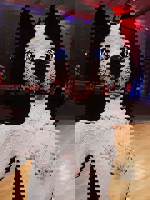 joejoe4games